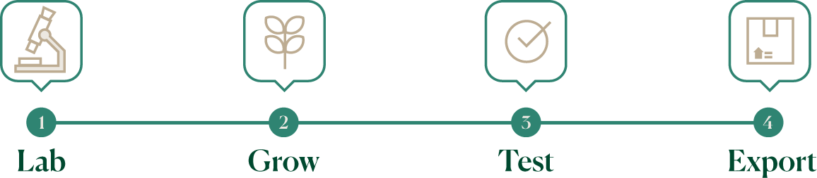 Lab · Cultivo · Análisis · Exportación