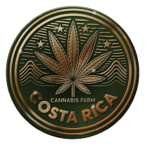 Sistema de producción